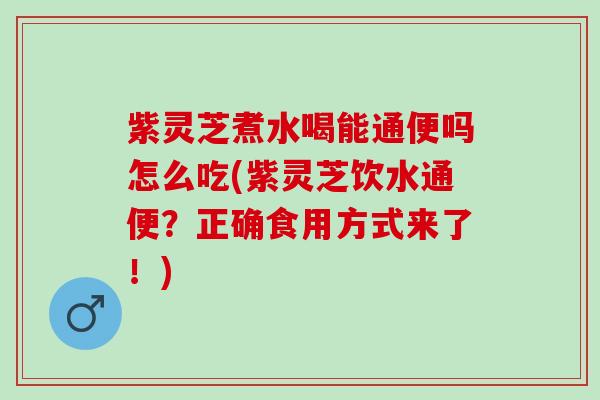 紫灵芝煮水喝能通便吗怎么吃(紫灵芝饮水通便?正确食用方式来了!) 紫灵芝煮水喝能通便吗怎么吃(紫灵芝饮水通便?正确食用方式来了!)