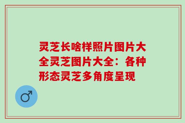 灵芝长啥样照片图片大全灵芝图片大全：各种形态灵芝多角度呈现