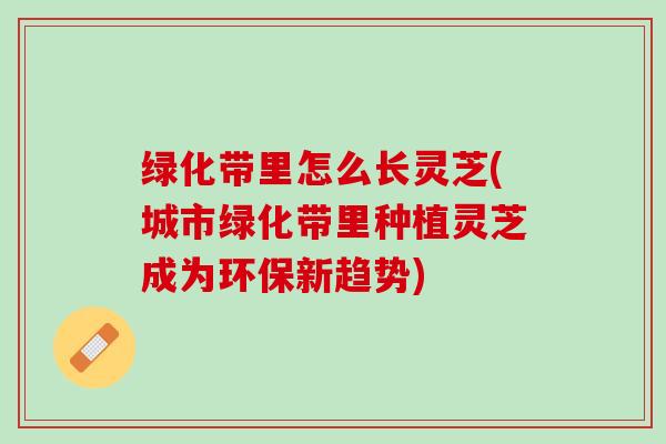 绿化带里怎么长灵芝(城市绿化带里种植灵芝成为环保新趋势)