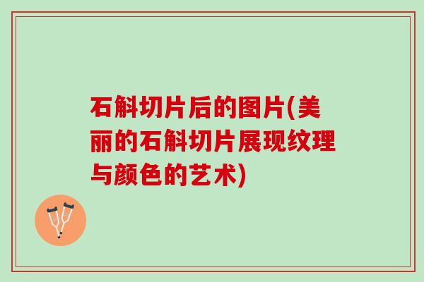 石斛切片后的图片(美丽的石斛切片展现纹理与颜色的艺术)