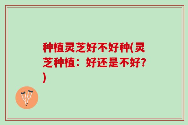 种植灵芝好不好种(灵芝种植:好还是不好?) 种植灵芝好不好种(灵芝种植:好还是不好?)