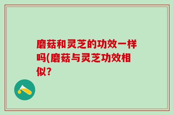 磨菇和灵芝的功效一样吗(磨菇与灵芝功效相似？