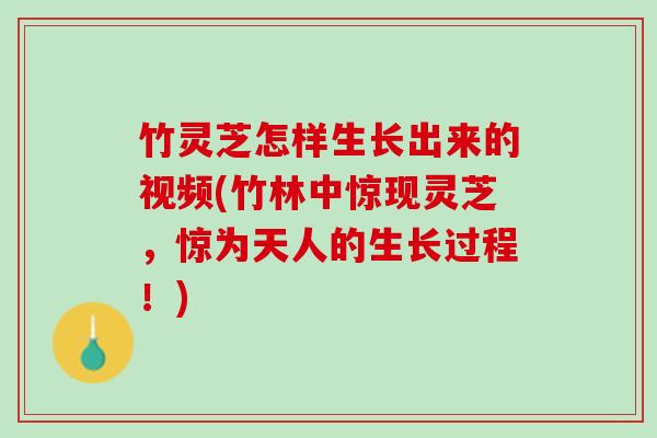 竹灵芝怎样生长出来的视频(竹林中惊现灵芝，惊为天人的生长过程！)