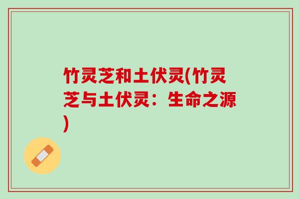 竹灵芝和土伏灵(竹灵芝与土伏灵：生命之源)