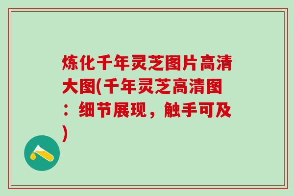 炼化千年灵芝图片高清大图(千年灵芝高清图：细节展现，触手可及)