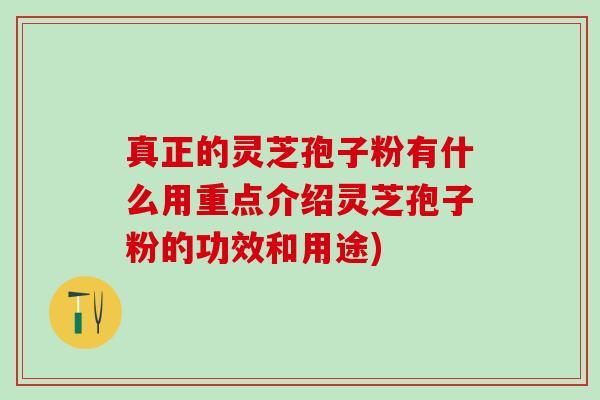 真正的灵芝孢子粉有什么用重点介绍灵芝孢子粉的功效和用途)
