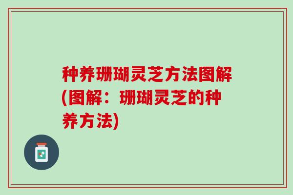 种养珊瑚灵芝方法图解(图解：珊瑚灵芝的种养方法)