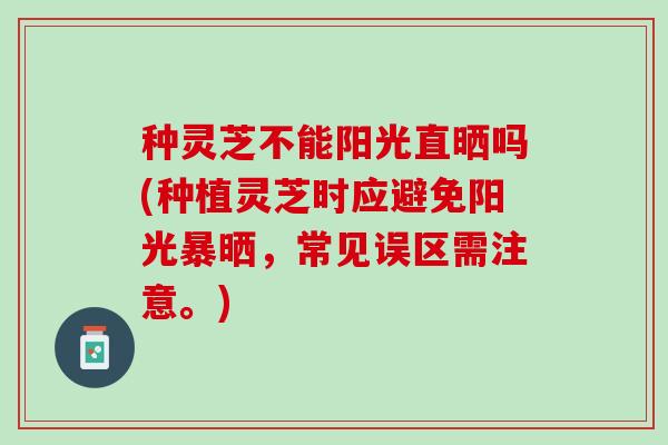 种灵芝不能阳光直晒吗(种植灵芝时应避免阳光暴晒，常见误区需注意。)