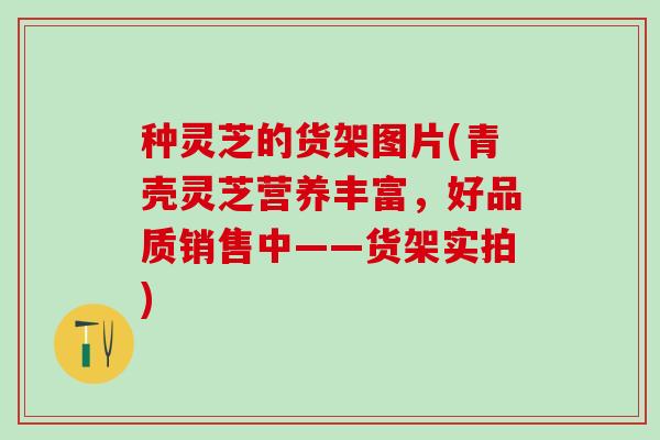 种灵芝的货架图片(青壳灵芝营养丰富，好品质销售中——货架实拍)