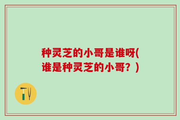 种灵芝的小哥是谁呀(谁是种灵芝的小哥?) 种灵芝的小哥是谁呀(谁是种灵芝的小哥?)