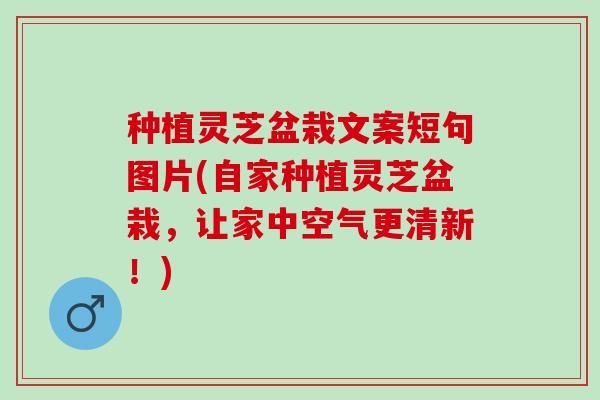 种植灵芝盆栽文案短句图片(自家种植灵芝盆栽,让家中空气更清新!) 种植灵芝盆栽文案短句图片(自家种植灵芝盆栽,让家中空气更清新!)