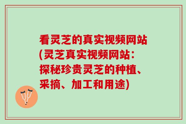 看灵芝的真实视频网站(灵芝真实视频网站：探秘珍贵灵芝的种植、采摘、加工和用途)