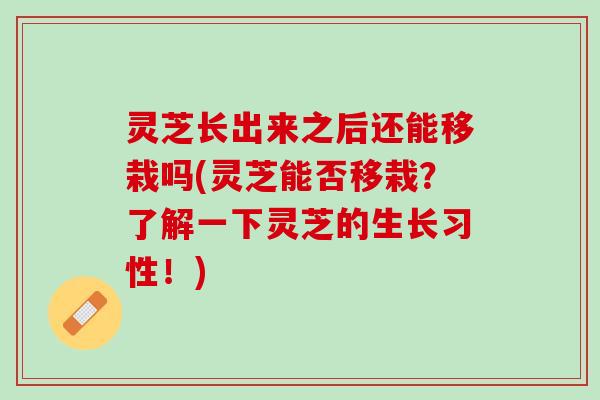 灵芝长出来之后还能移栽吗(灵芝能否移栽?了解一下灵芝的生长习性!) 灵芝长出来之后还能移栽吗(灵芝能否移栽?了解一下灵芝的生长习性!)