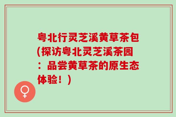 粤北行灵芝溪黄草茶包(探访粤北灵芝溪茶园：品尝黄草茶的原生态体验！)