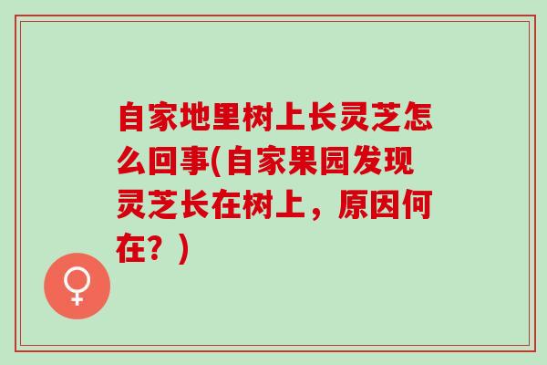 自家地里树上长灵芝怎么回事(自家果园发现灵芝长在树上，原因何在？)