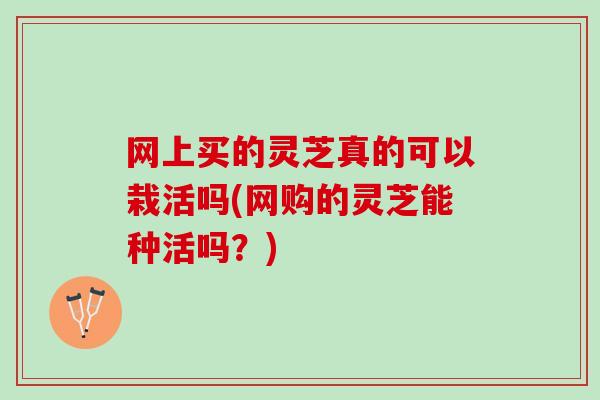 网上买的灵芝真的可以栽活吗(网购的灵芝能种活吗？)