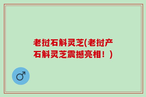 老挝石斛灵芝(老挝产石斛灵芝震撼亮相！)