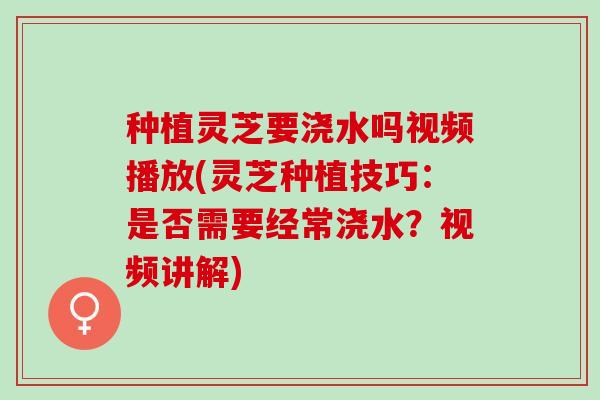 种植灵芝要浇水吗视频播放(灵芝种植技巧:是否需要经常浇水?视频讲解) 种植灵芝要浇水吗视频播放(灵芝种植技巧:是否需要经常浇水?视频讲解)