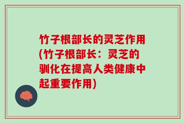 竹子根部长的灵芝作用(竹子根部长：灵芝的驯化在提高人类健康中起重要作用)