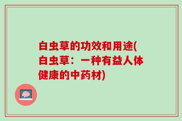 白虫草的功效和用途(白虫草：一种有益人体健康的中药材)