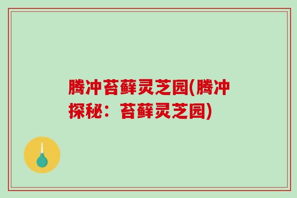 腾冲苔藓灵芝园(腾冲探秘：苔藓灵芝园)