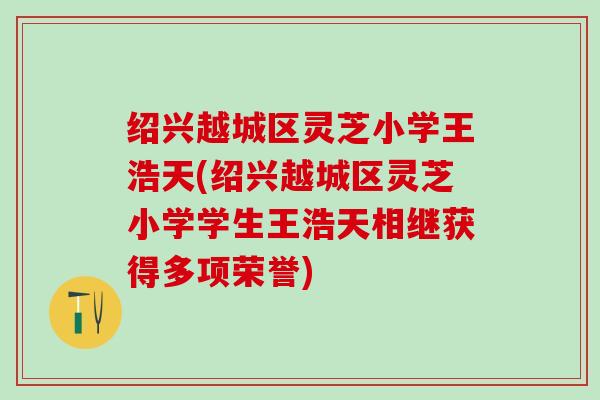 绍兴越城区灵芝小学王浩天(绍兴越城区灵芝小学学生王浩天相继获得多项荣誉)