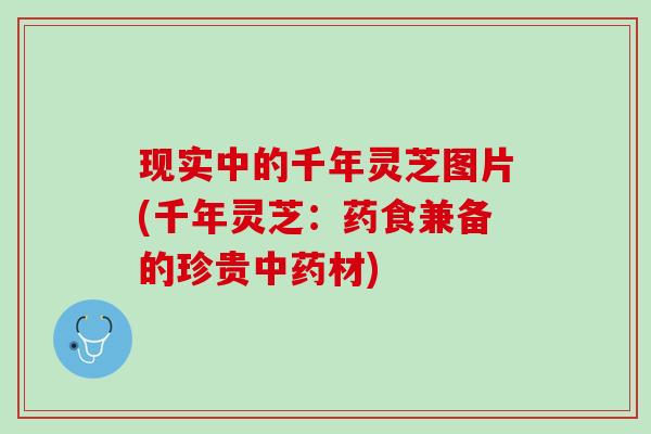 现实中的千年灵芝图片(千年灵芝：药食兼备的珍贵中药材)
