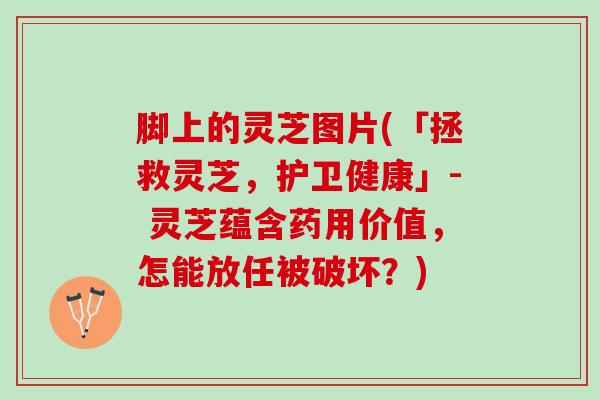 脚上的灵芝图片(「拯救灵芝，护卫健康」- 灵芝蕴含药用价值，怎能放任被破坏？)