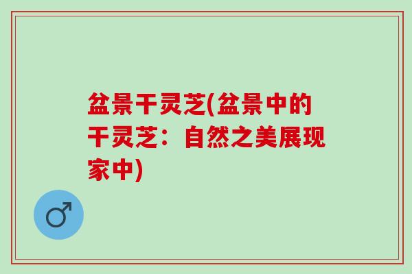 盆景干灵芝(盆景中的干灵芝：自然之美展现家中)