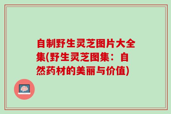 自制野生灵芝图片大全集(野生灵芝图集：自然药材的美丽与价值)
