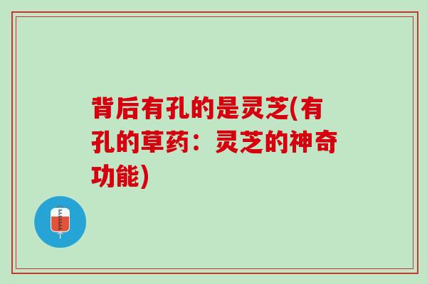 背后有孔的是灵芝(有孔的草药：灵芝的神奇功能)