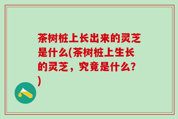 茶树桩上长出来的灵芝是什么(茶树桩上生长的灵芝，究竟是什么？)