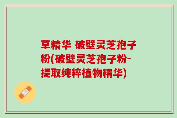 草精华 破壁灵芝孢子粉(破壁灵芝孢子粉-提取纯粹植物精华)