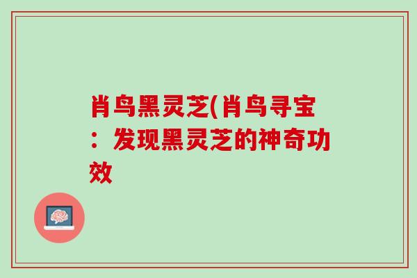 肖鸟黑灵芝(肖鸟寻宝：发现黑灵芝的神奇功效