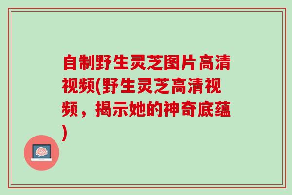 自制野生灵芝图片高清视频(野生灵芝高清视频，揭示她的神奇底蕴)