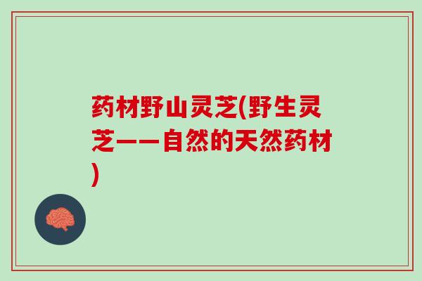 药材野山灵芝(野生灵芝——自然的天然药材)
