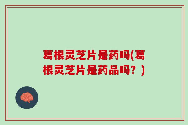 葛根灵芝片是药吗(葛根灵芝片是药品吗？)