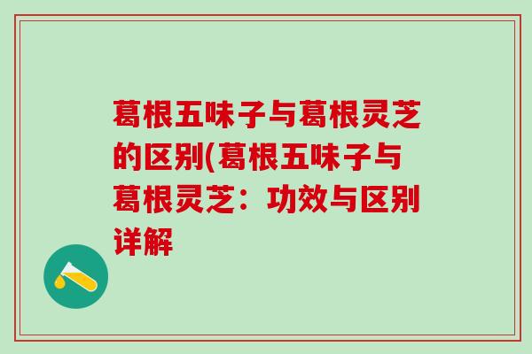 葛根五味子与葛根灵芝的区别(葛根五味子与葛根灵芝：功效与区别详解