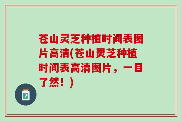 苍山灵芝种植时间表图片高清(苍山灵芝种植时间表高清图片，一目了然！)