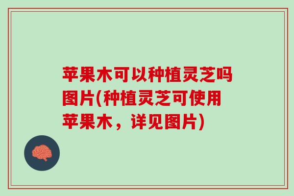 苹果木可以种植灵芝吗图片(种植灵芝可使用苹果木，详见图片)