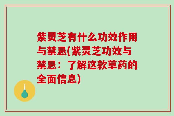 紫灵芝有什么功效作用与禁忌(紫灵芝功效与禁忌：了解这款草药的全面信息)
