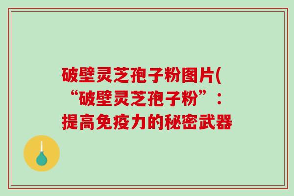 破壁灵芝孢子粉图片(“破壁灵芝孢子粉”：提高免疫力的秘密武器