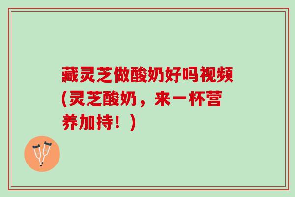 藏灵芝做酸奶好吗视频(灵芝酸奶，来一杯营养加持！)