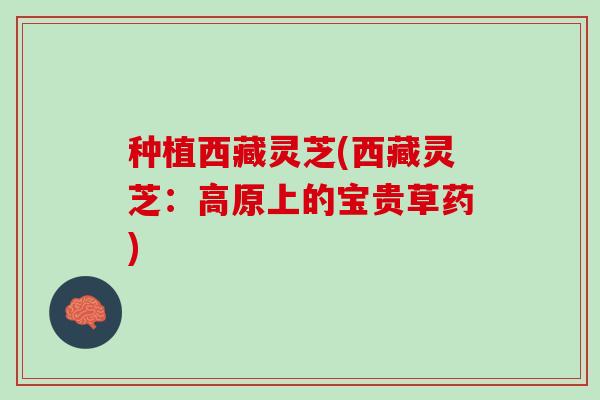 种植西藏灵芝(西藏灵芝：高原上的宝贵草药)