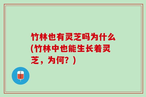 竹林也有灵芝吗为什么(竹林中也能生长着灵芝，为何？)