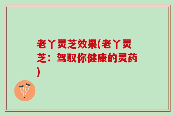 老丫灵芝效果(老丫灵芝：驾驭你健康的灵药)