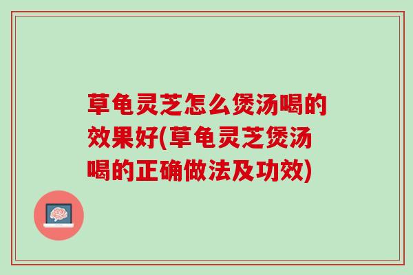 草龟灵芝怎么煲汤喝的效果好(草龟灵芝煲汤喝的正确做法及功效)