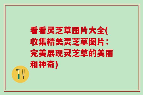 看看灵芝草图片大全(收集精美灵芝草图片：完美展现灵芝草的美丽和神奇)