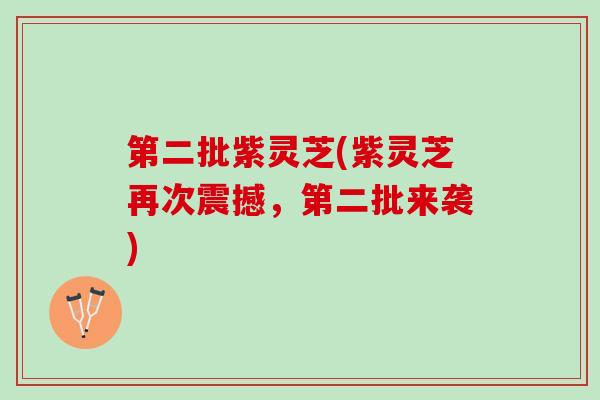 第二批紫灵芝(紫灵芝再次震撼，第二批来袭)