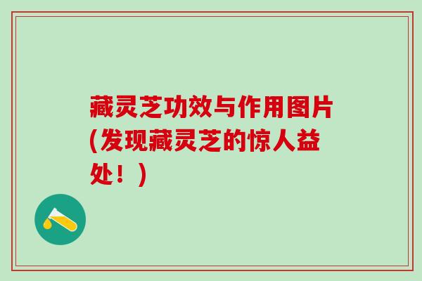 藏灵芝功效与作用图片(发现藏灵芝的惊人益处！)